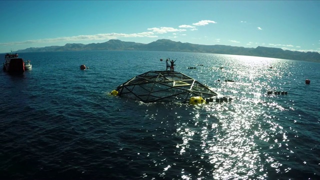 两名男子在水足类渔场，海面上，空中视频下载