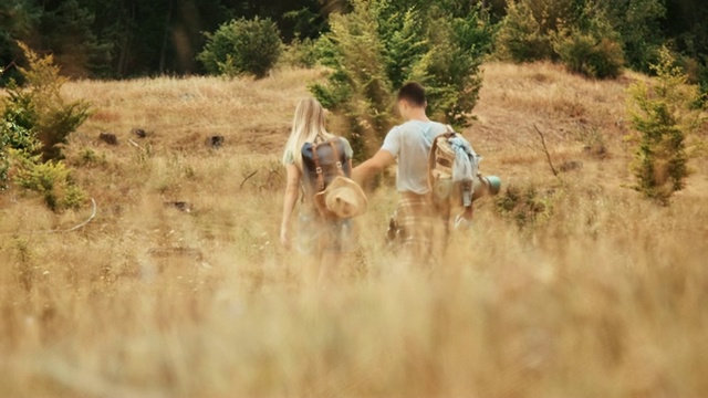 一对夫妇在度假时在田野上散步视频素材