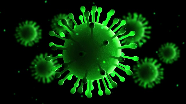 显微镜下的三维病毒和细菌动画视频素材