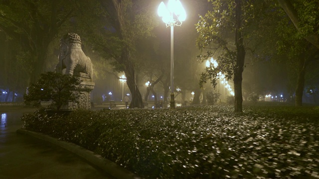 镜头穿过雾蒙蒙的城市公园视频素材