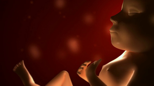 3D胎儿-人类出生阶段动画视频下载