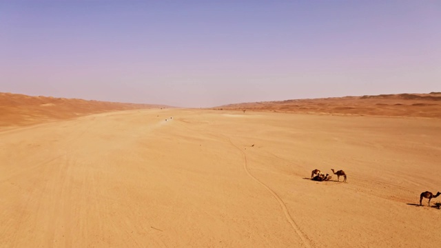 空中驾驶穿过阿曼的沙漠视频下载