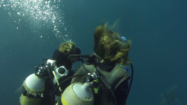 鲨鱼和潜水员在水下视频下载