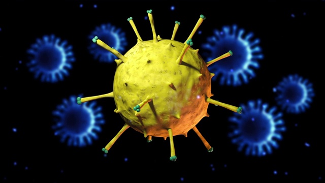 病毒和细菌动画视频下载