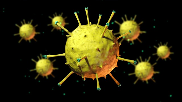 病毒和细菌动画视频下载