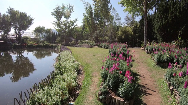 在Doi Inthanon公园散步或移动，泰国视频下载