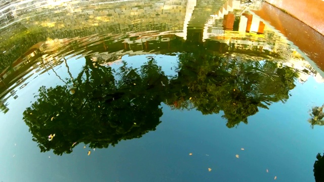 在古老的印度寺庙Kamakhya Maa，树木和楼梯反射在池塘kund和无数的鱼视频素材
