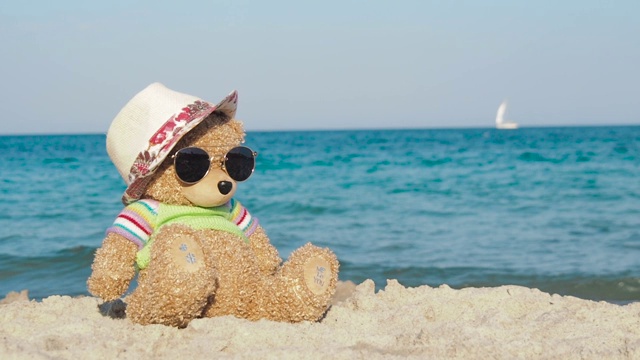 泰迪熊掉在海边视频下载