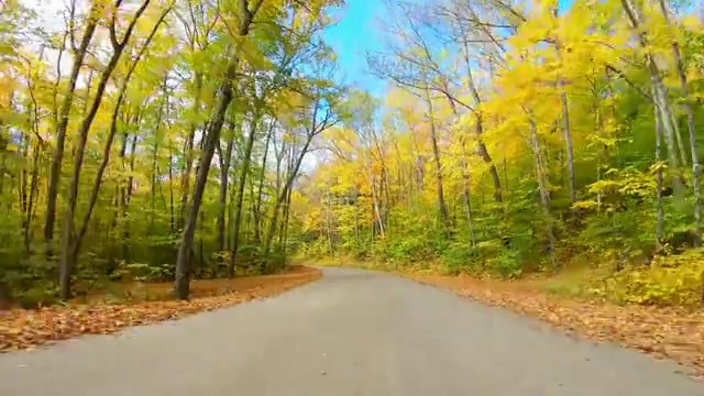 新罕布什尔州白山的秋天路视频素材