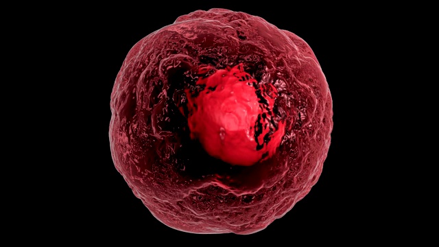 真核细胞运动的三维动画在黑色的背景。视频素材