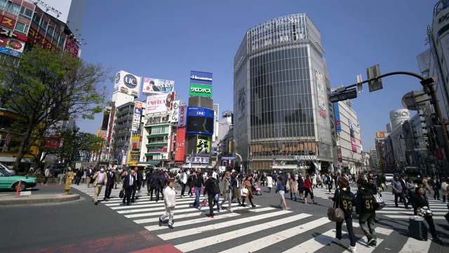 日本涩谷十字路口的行人视频素材