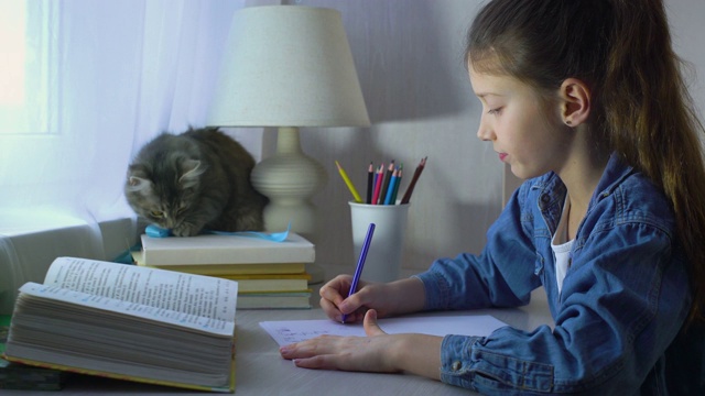 可爱的女孩和她的宠物猫玩耍而不是做作业视频素材