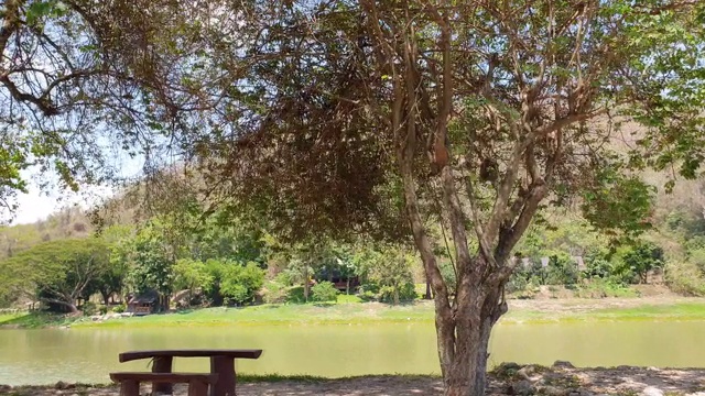 国家公园的池塘。视频素材