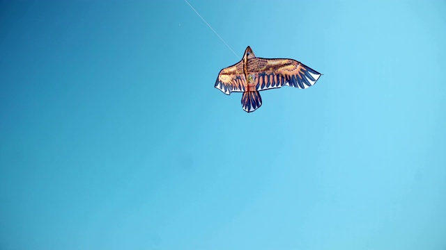 风筝在蓝天白云中飞翔。自由和暑假概念视频下载