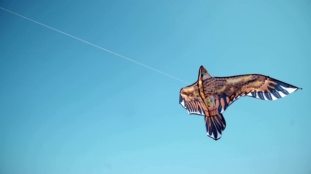 角度上看一个彩色的风筝与鹰在深蓝色的天空与阳光的波澜飞翔视频下载