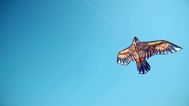 风筝节里，蓝天上美丽的风筝视频下载