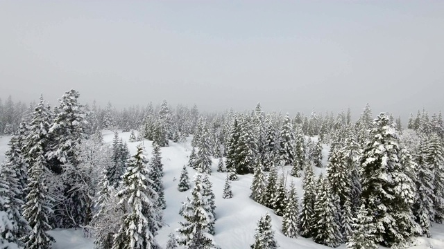 这是一组令人惊叹的航拍镜头，拍摄的是瑞士汝拉山脉的高山地区，森林和山脉被新积雪覆盖。视频素材