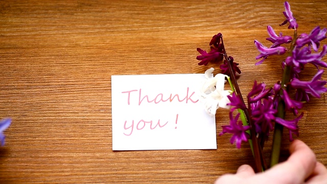 春天美丽的花风信子与一张感谢卡视频下载