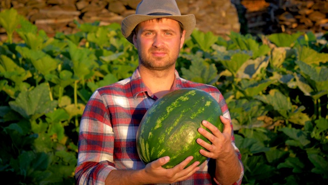 微笑的农民拿着有机西瓜在农田里视频下载