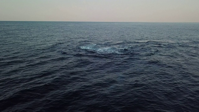 鸟瞰图一群座头鲸向摄像机移动并在清晨破壳而出。这些镜头是在这些鲸鱼每年冬季沿着非洲东海岸向北迁移到温暖水域时拍摄的。视频素材