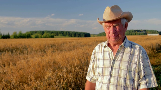 戴着牛仔帽的白人老人在日落时分的麦田里散步视频素材