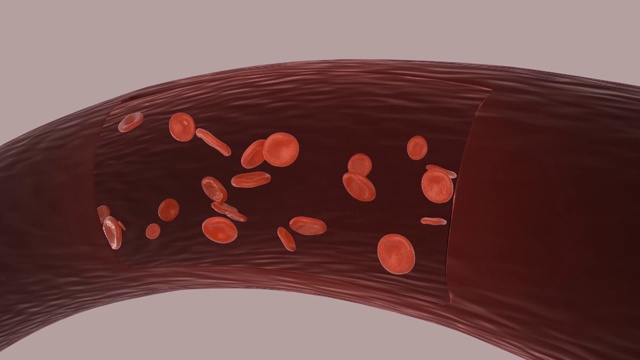 动脉中的红细胞。3 d动画。视频下载