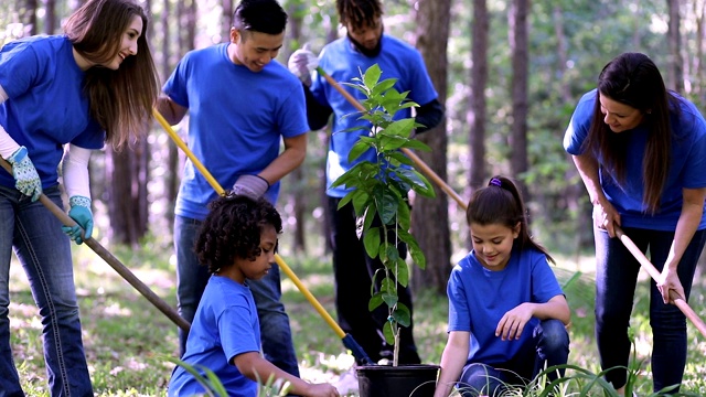 环境美化。志愿者们在春天的时候在公园里种上花、树、植物。视频素材