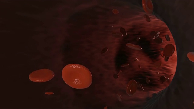 动脉中的红细胞。3 d动画。视频素材