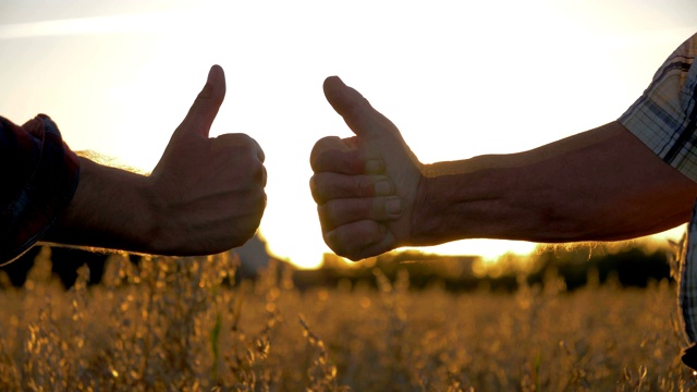 两个人对着夕阳在农田里竖起大拇指的特写视频素材