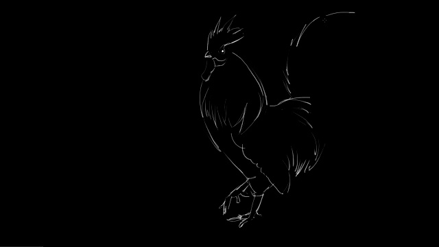 一只公鸡的手绘-艺术过程视频下载