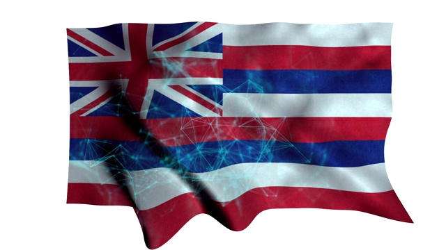 夏威夷的州旗视频素材