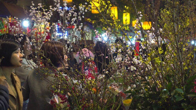 越南河内新年准备期间的鲜花街市场。越南春节期间的河内夜市街。庆祝新年的装饰品。还剑老城区视频素材