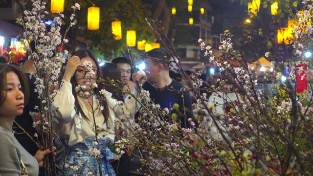 越南河内的春节鲜花市场。新的一年准备。越南春节期间的河内夜市街。庆祝新年的装饰品。还剑老城区视频素材