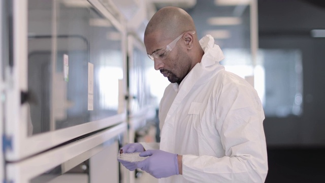 非裔美国科学家在实验室研究样本视频素材