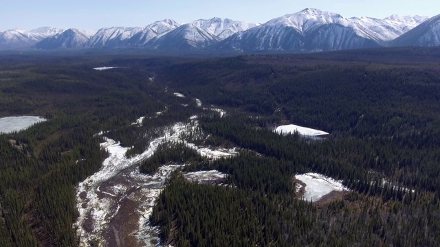 鸟瞰图的加拿大森林与美丽的雪山在背景视频素材