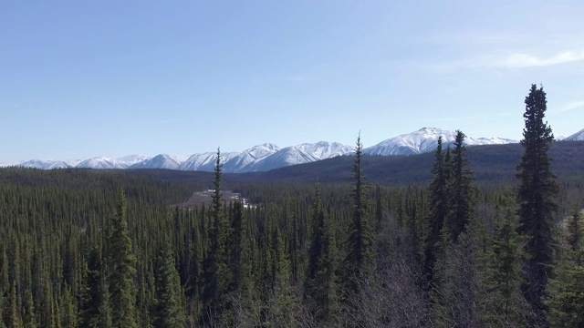森林鸟瞰图与积雪覆盖的山脉在背景视频素材