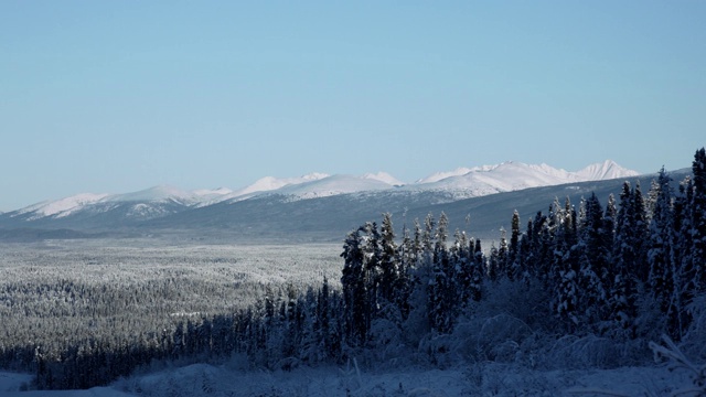 加拿大北部美丽的冬季景色视频素材