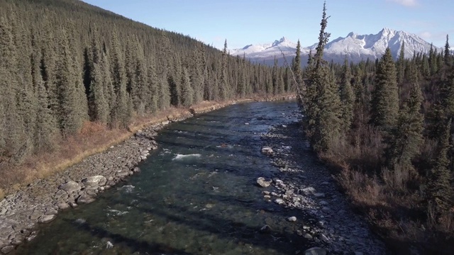 鸟瞰图的原始河流与美丽的雪山在背景视频素材