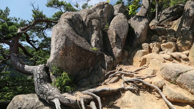 在伽亚山(国家公园)的巨石和树木，Hapcheon视频素材