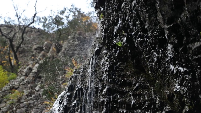 在青松的大望山国家公园，水滴落在岩石上视频素材