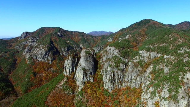 清松菊望山国家公园的秋景视频素材