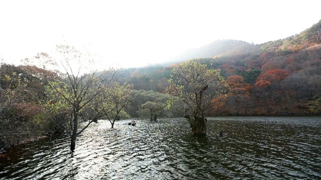 清松居望山国家公园的居三集水库秋景视频素材
