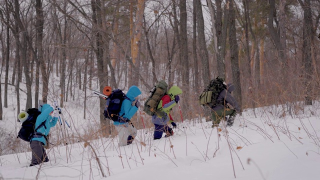 探险队中的四个人。徒步旅行在困难的条件下进行，人们会陷入雪堆中视频素材