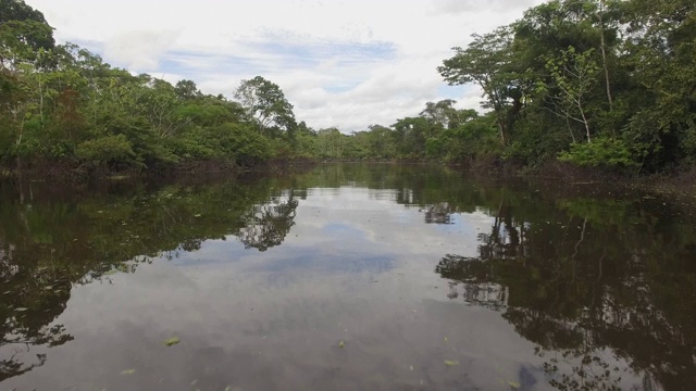 无人机拍摄的乌云天空下的亚马逊河视频素材