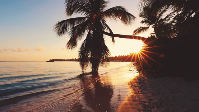 海上日出在异国情调的岛屿海滩和椰子树。夏天的假期。视频素材