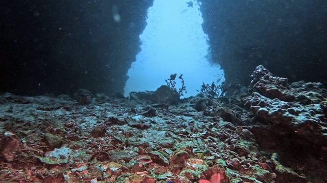 水下洞穴潜水度假视频素材