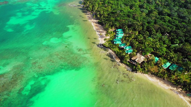 空中出口/右转:尼加拉瓜小玉米岛，绿色，蓝色海洋旁的棕榈树海岸上的建筑视频下载