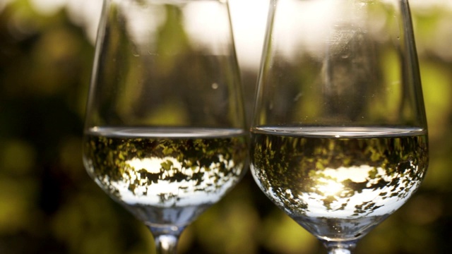 阳光下的两杯白葡萄酒的特写视频素材