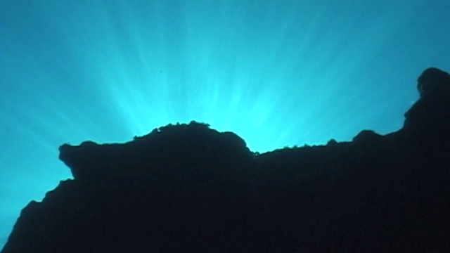 夏威夷的海洋生物视频下载