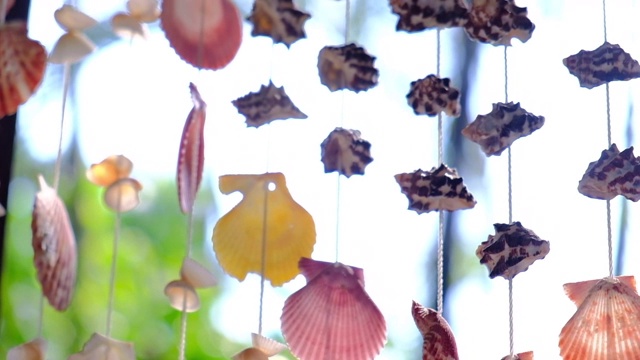 海贝移动由贝壳制成的慢动作风格视频素材